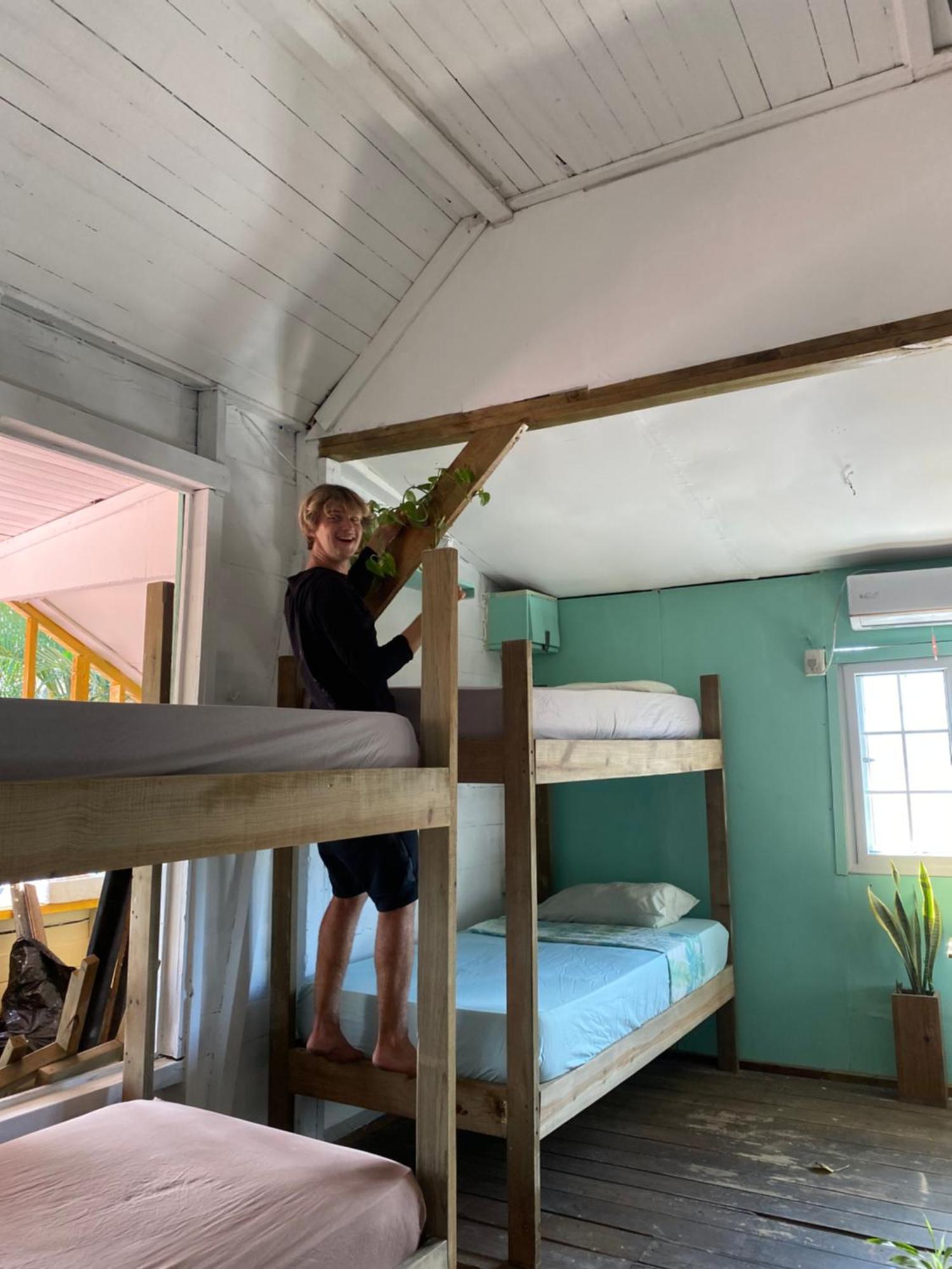 The Bocas Corner Hostel Bocas Town Luaran gambar